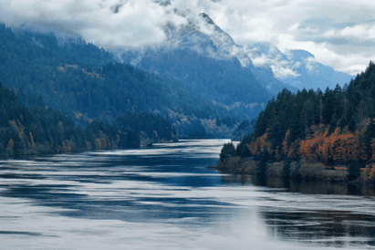 A foggy day in the Columbia River Gorge between Oregon and Washington.