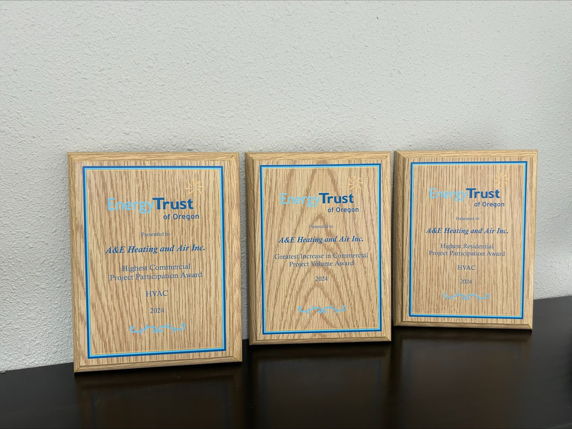 A&E Plumbing, Heating and Air is proud to have earned: Highest Residential Project Participation Award – HVAC, Highest Commercial Project Participation Award – HVAC, Greatest Increase in Commercial Project Volume Award – HVAC.