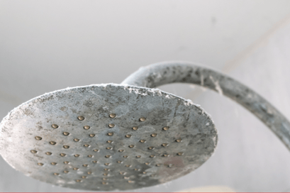 A dirty shower head with hard water deposits along the water spray holes.