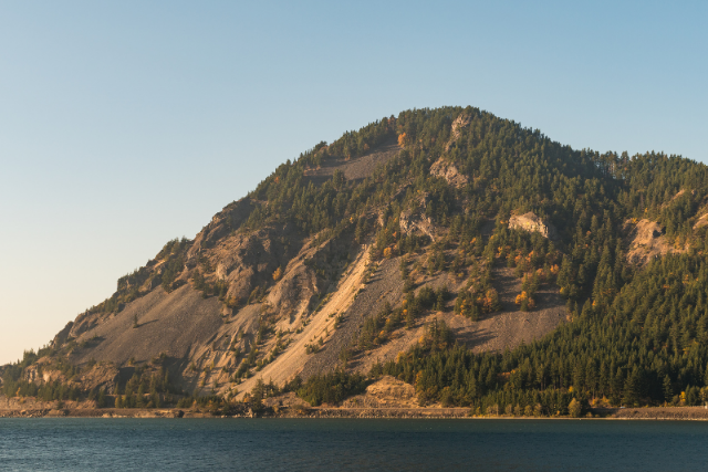 Slope of a hill near the Columbia River Gorge near Carson, Washington.